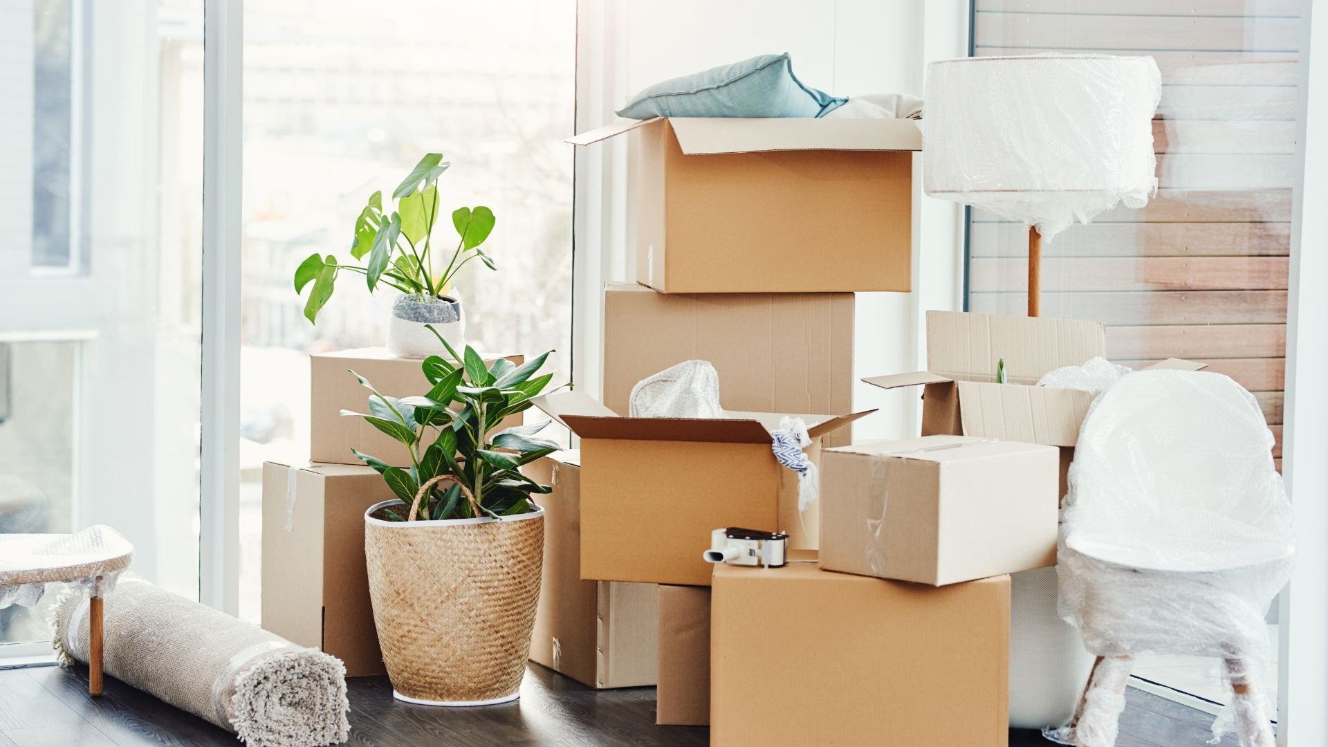 Moving boxes, plants, and packing supplies in a bright room