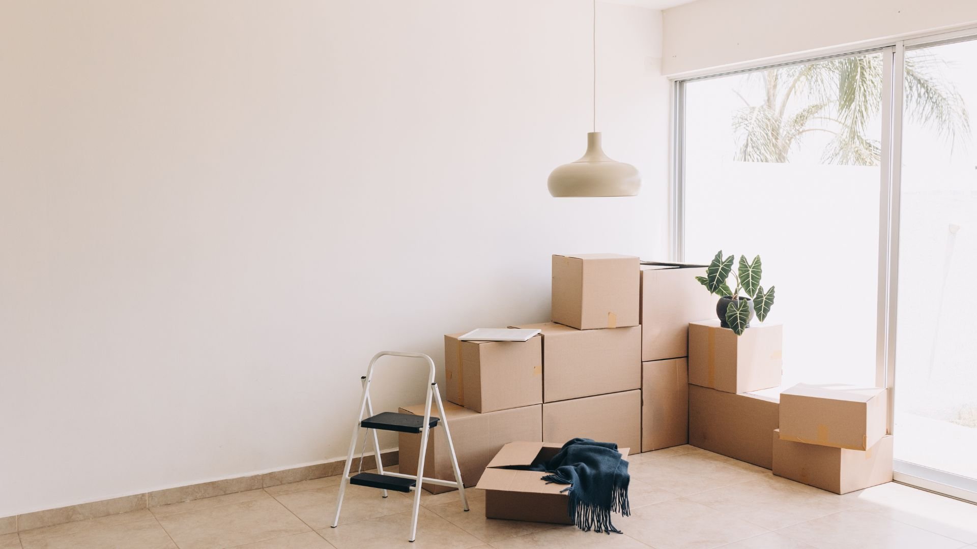 Moving boxes stacked in minimalist room with plant and hanging lamp